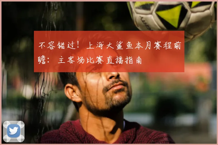 不容错过！上海大鲨鱼本月赛程前瞻：主客场比赛直播指南