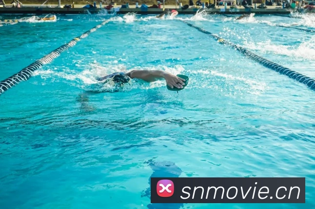 多媒体互动体验